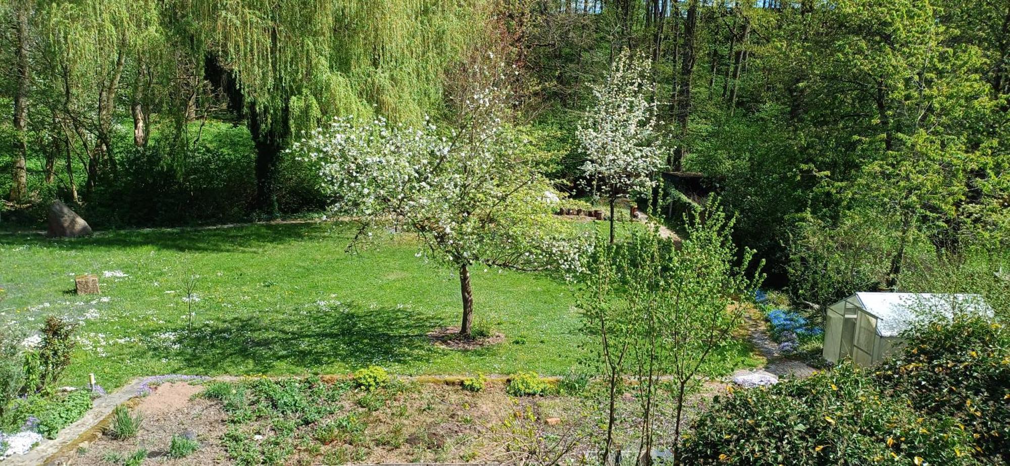 Wohnung In Medlitz Rattelsdorf Εξωτερικό φωτογραφία